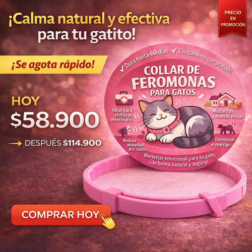 Collar de Feromonas Calmante para Gatos