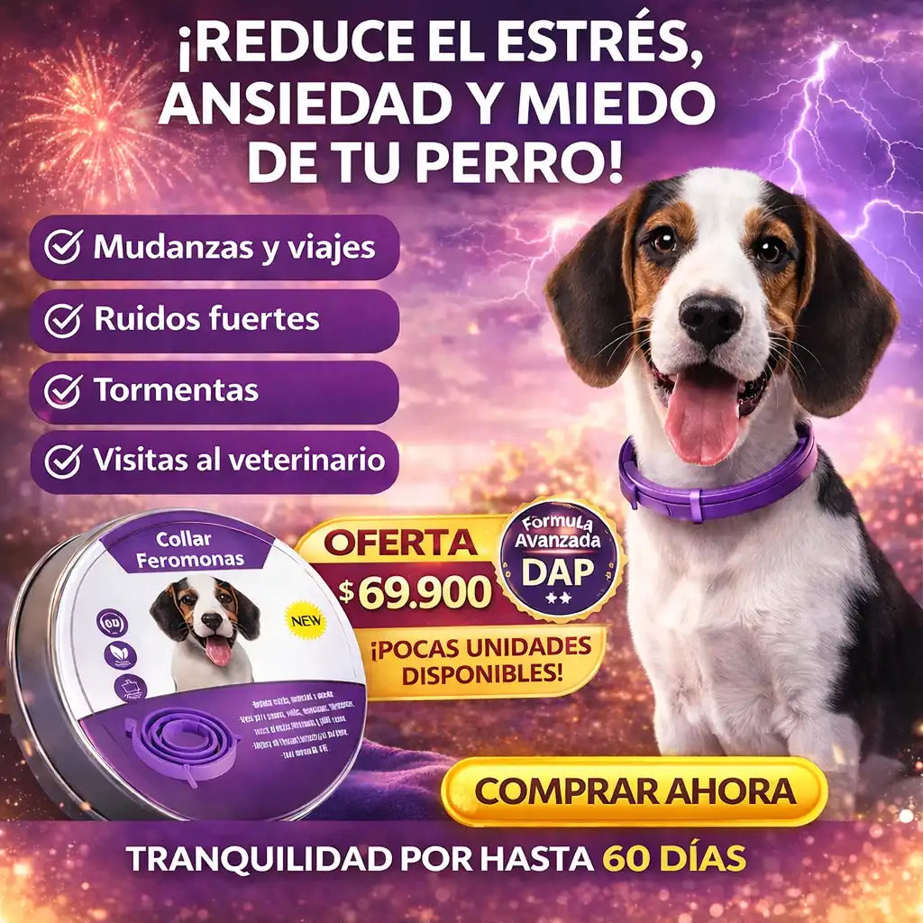 Collar de Feromonas Calmante para Perros