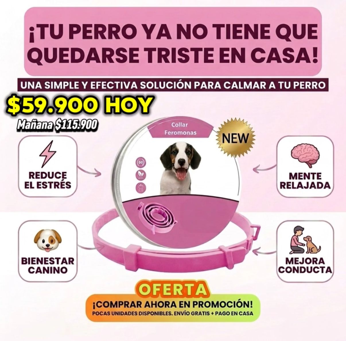 Collar de Feromonas Calmante para Perros